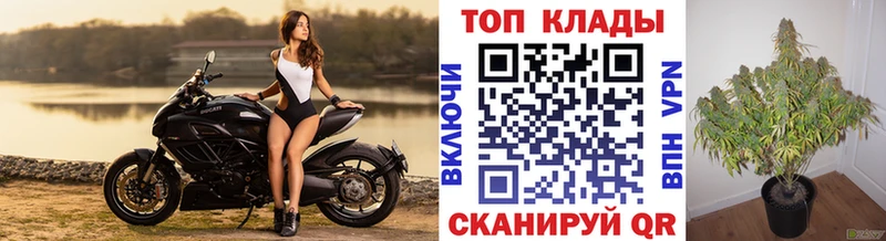 Где купить наркоту Изобильный KRAKEN БУТИРАТ Кокаин ГАШ Конопля Меф мяу мяу Альфа ПВП