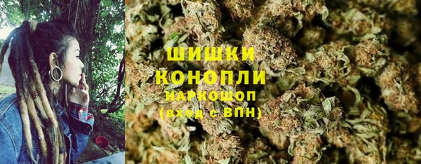 бошки Дмитриев