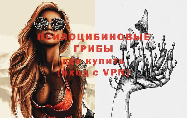 бошки Дмитриев