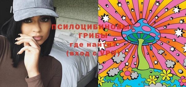 бошки Дмитриев