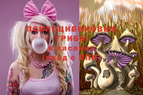 jwh Дмитров