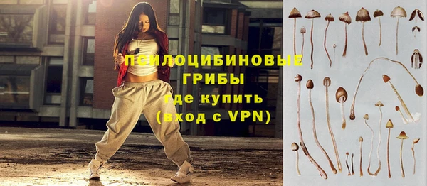 бошки Дмитриев
